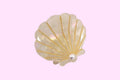 JOSSLYN by wall to wall - Seashell Hair Claw Clip by JOSSLYN by wall to wall