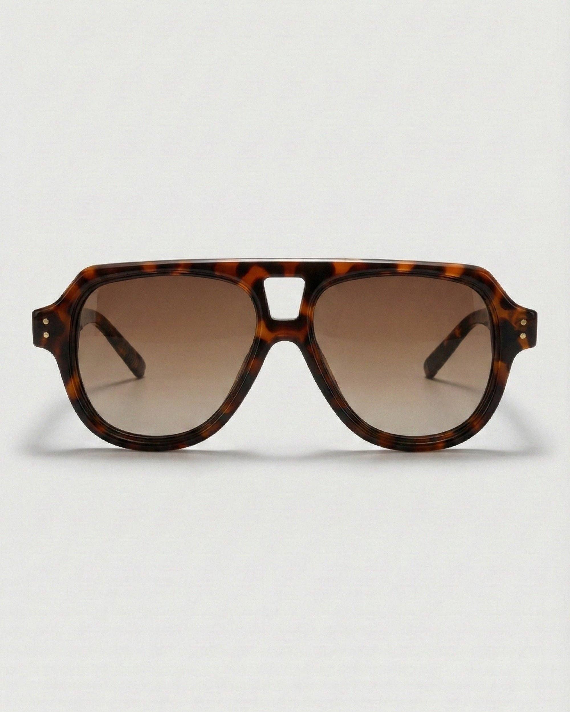 Fifth & Ninth Ender polarized sunglasses in Torte Brown